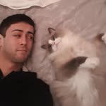 Sean Bott - @bottface - Instagram