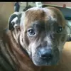 Sean Bottas - @sean.bottas - TikTok