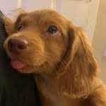 Sean Bottcher - @sean.bottcher29 - Instagram