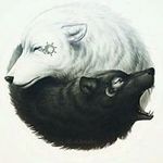 sean boucher - @bouchersean - Instagram