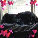 Sean Boyes - @sean.boyes.50 - Instagram