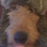 Sean Bracken - @seanbrack3 - Instagram