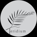 Sean Connolly Bracken - @teridium_design - Instagram