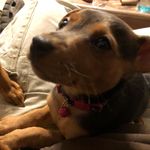 Sean Braden - @a6979seanbraden - Instagram