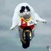 Sean Bragg - @seanbragg4 - TikTok