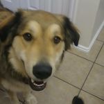 Sean Brant - @sean_brant414 - Instagram