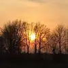 Sean P Braud-brō - @stutmansteve - TikTok