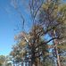 Shawn Braxton - Facebook