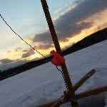 Cobi, Sean, Brent - @horseteamoutdoors - Instagram
