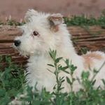 Sean Brevard - @seanbrevard - Instagram