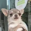 seanbrewster4 - @seanbrewster4 - TikTok