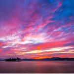 Sean bridge - @seanbridgy445 - Instagram
