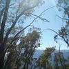 Sean Budd447 - @seanbudd447 - TikTok