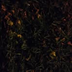 Sean Baker - Facebook