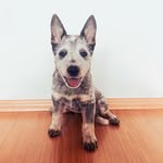 Sean Byron - @byron_acd - Instagram
