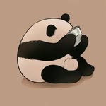 上官晨风 - @canada_sean - Instagram