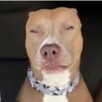 Sean Capers - @the_goat1090 - Instagram