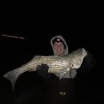 Sean Carpenter - @shorefishin - Instagram
