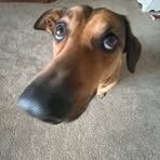 Sean Carpenter - Facebook