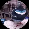 pepe - @sean.carrillo - TikTok