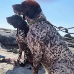 Sean Carty - @carty5216 - Instagram