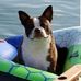 Shawn Casebolt - Facebook