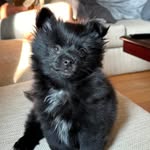 Sean Catton - @seancatton - Instagram