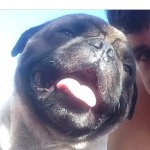 Cruiser Waldorf Sean Chacon - @cruiser_the_womp_king69 - Instagram