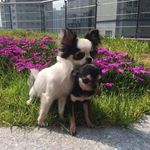 BW & BN - @sean_choe_kr - Instagram