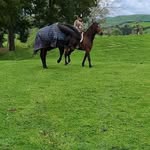Sean Clarkson - @seanclarkson5803 - Instagram