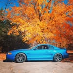 Sean Clarkson - @clarkson5676 - Instagram