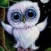 Sean Clawson - Facebook