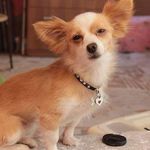 Sean Cloud - @seancloud7 - Instagram