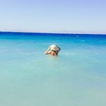 Sean Coates - @sean_coates_tmzo - Instagram