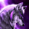 colvillesean - @vamp_slayer1000 - TikTok