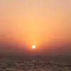 SEACONQUEST - @seaconquest - TikTok