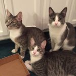 Sean - @sean.coppersmith - Instagram
