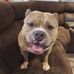 Sean Cormier - Facebook