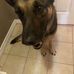 Sean Cormier - Facebook