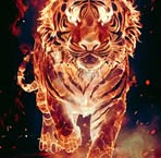 Sean Craddock - Facebook