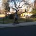Sean Crehan - Facebook