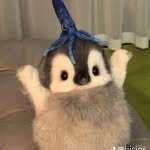 sean cuevas - @dwigth_ramos - Instagram