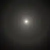 Sean Cuevas - @seancuevas - TikTok