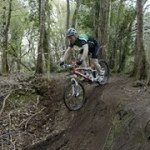 Sean Culleton - @seanculleton - Instagram