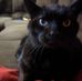 Shawn Cutshaw - Facebook