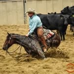 Sean Flynn Cutting Horses - @seanflynncuttinghorses - Instagram
