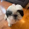 daisean_ - @daisean_ - TikTok