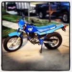 Sean Dailey - @sean_dailey6 - Instagram