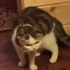 sean.damron - @sean.damron - TikTok