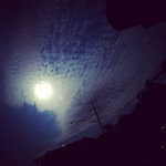 Sean Darling - @louintcattips - Instagram